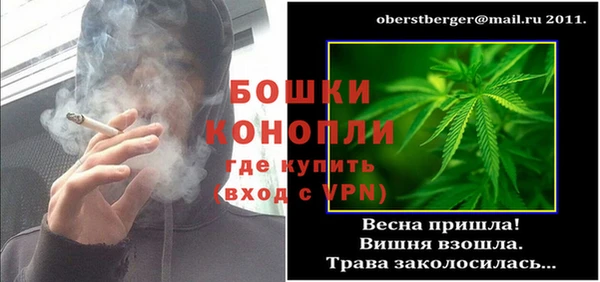 прущие грибы Кулебаки
