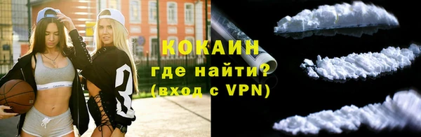 прущие грибы Абдулино