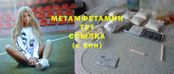 прущие грибы Абдулино